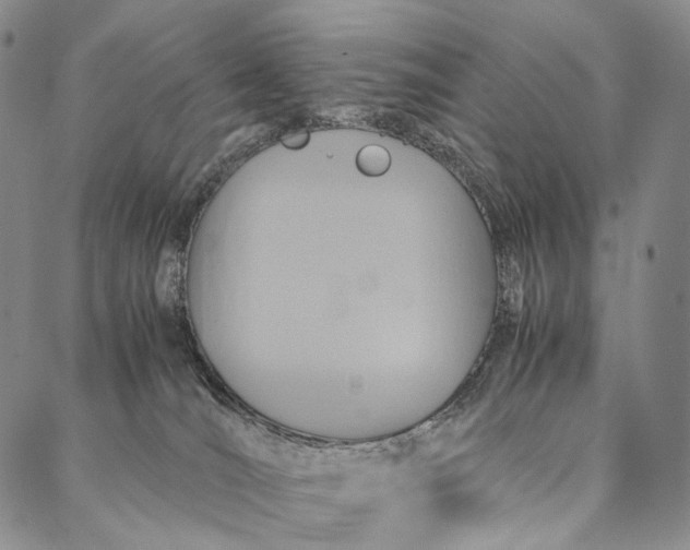 X0000087060036200705091211