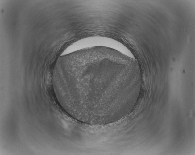 X0000087060037200705091211