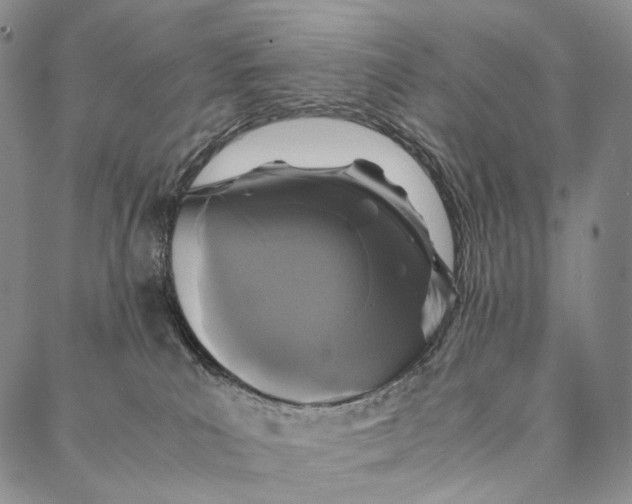 X0000087060039200705091211