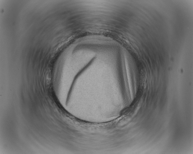 X0000087060040200705091211