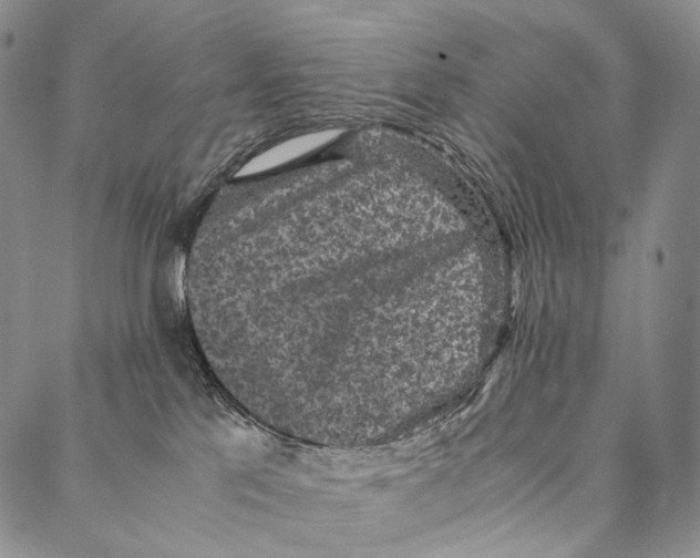 X0000087060041200705091211