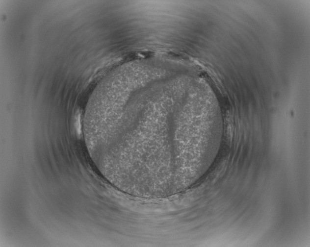 X0000087060042200705091211