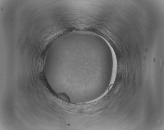 X0000087060043200705091211