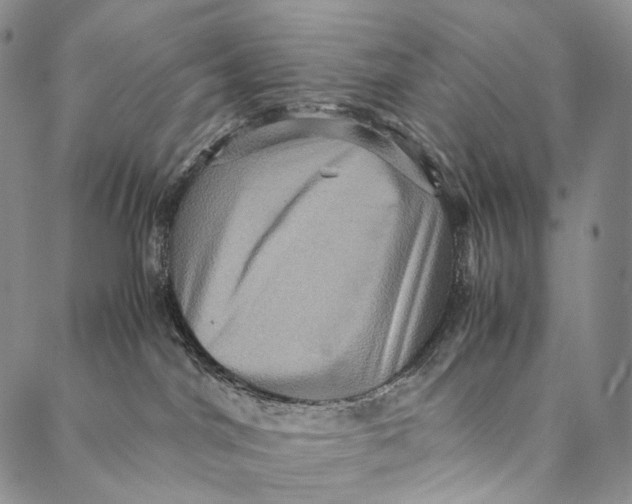 X0000087060044200705091211