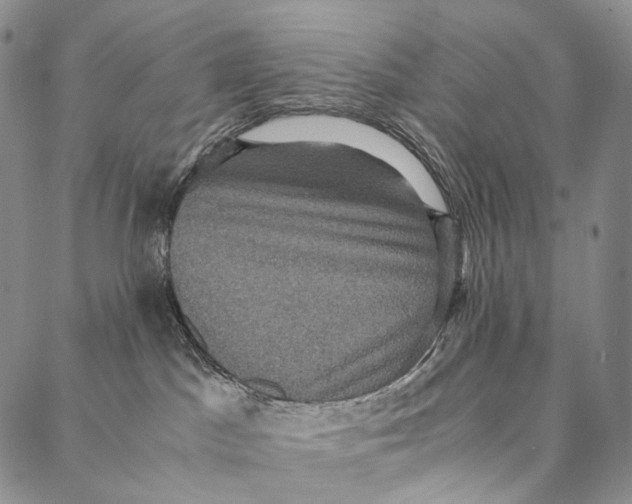 X0000087060045200705091211