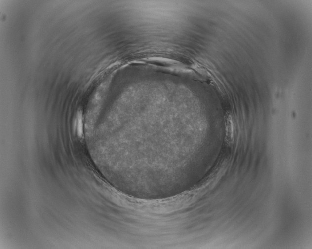 X0000087060046200705091211