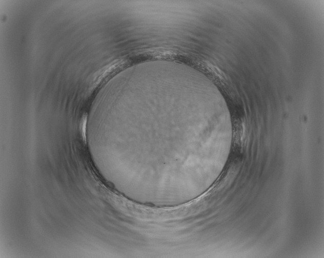 X0000087060047200705091211