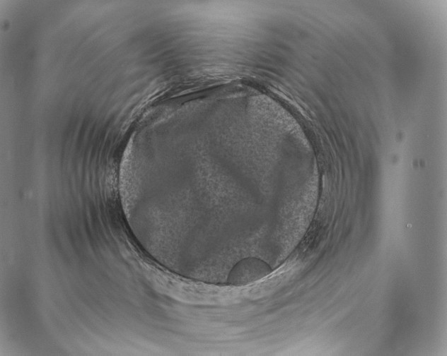 X0000087060048200705091211