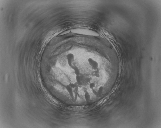 X0000087060049200705091210