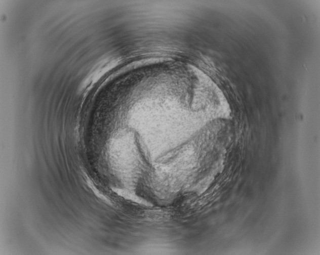 X0000087060050200705091210