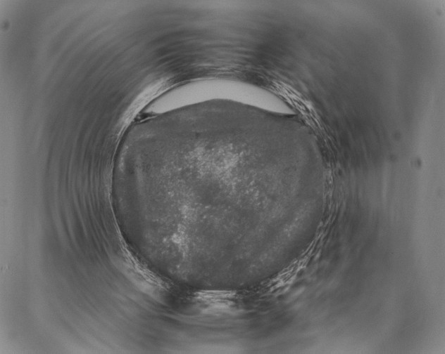 X0000087060051200705091210