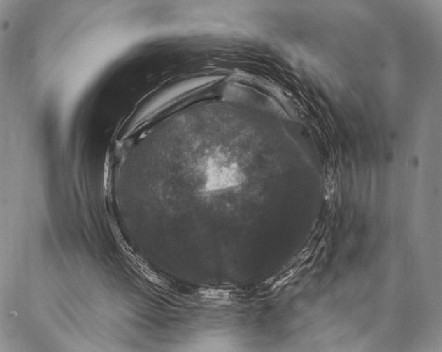 X0000087060052200705091210