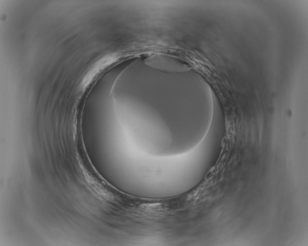 X0000087060054200705091211