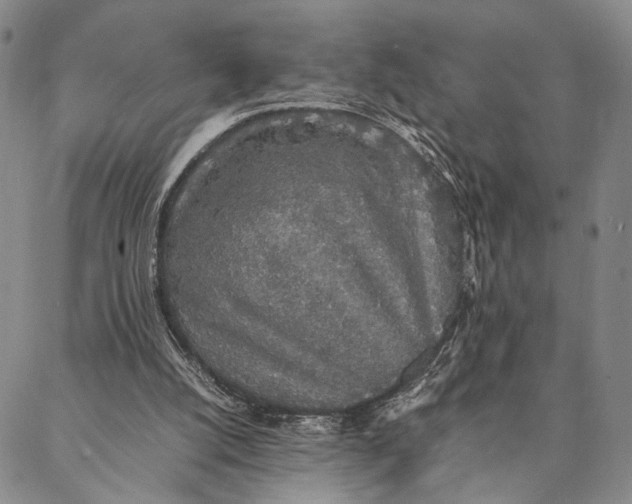 X0000087060056200705091211