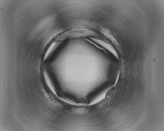 X0000087060058200705091211