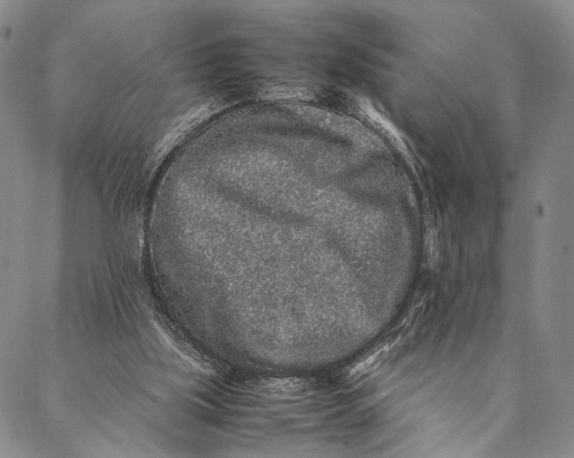 X0000087060059200705091211