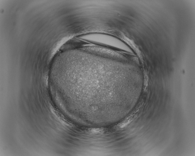 X0000087060060200705091211