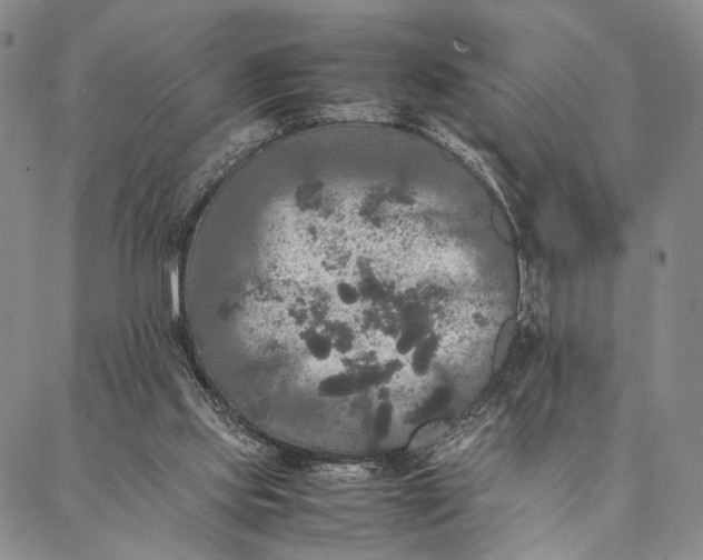 X0000087060061200705091211