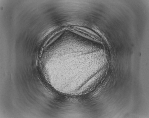 X0000087060062200705091211