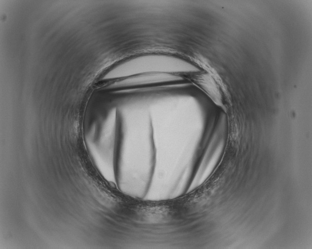 X0000087060063200705091211