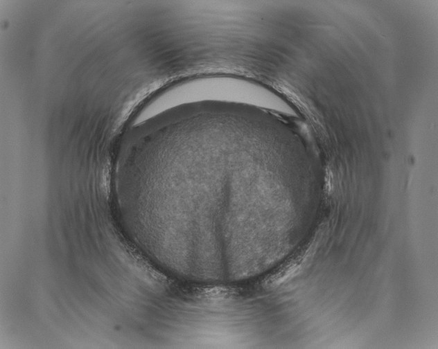 X0000087060064200705091211