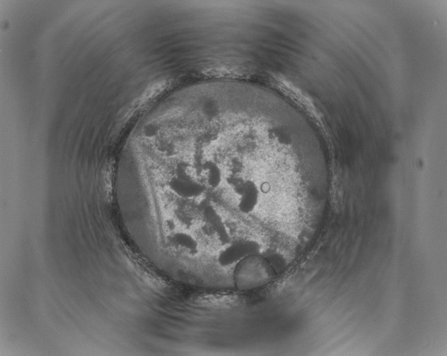 X0000087060065200705091211