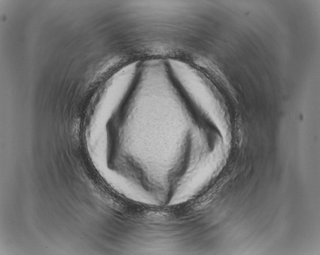 X0000087060066200705091211