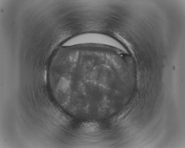 X0000087060067200705091211