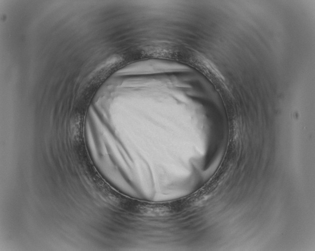 X0000087060073200705091211