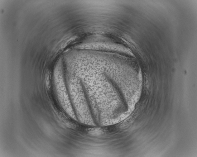 X0000087060074200705091211