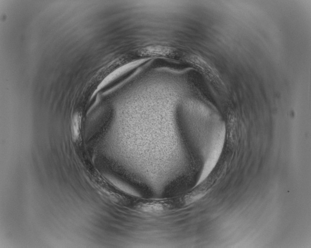 X0000087060075200705091211