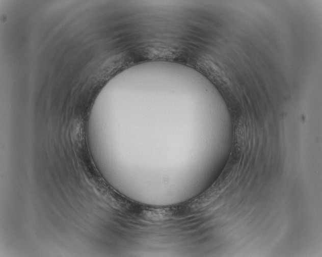 X0000087060079200705091211