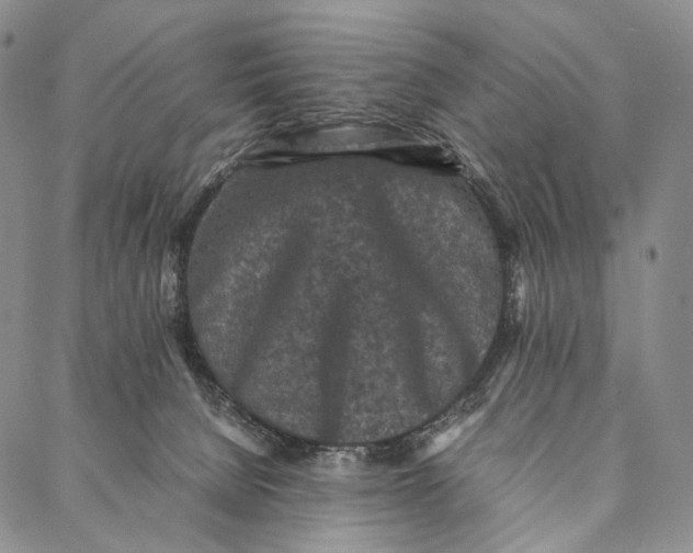 X0000087060080200705091211