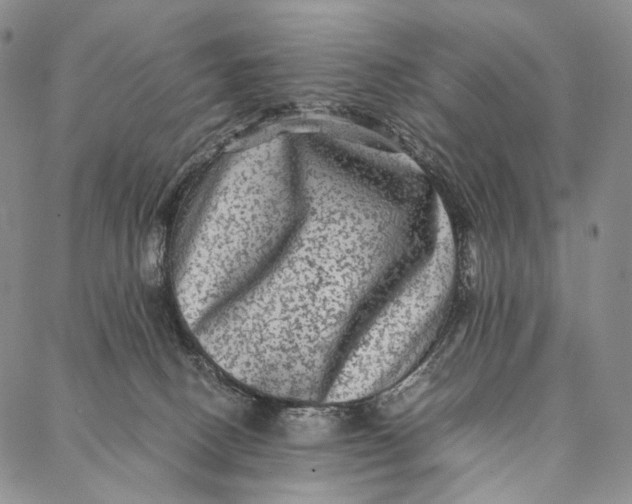 X0000087060082200705091211