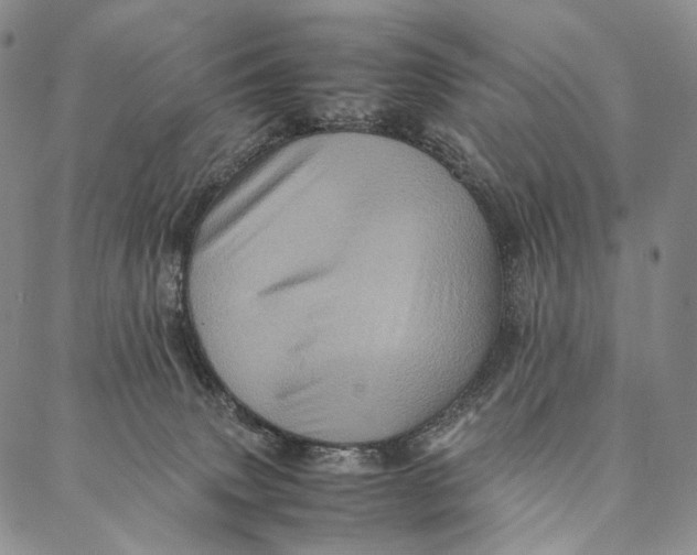 X0000087060083200705091211