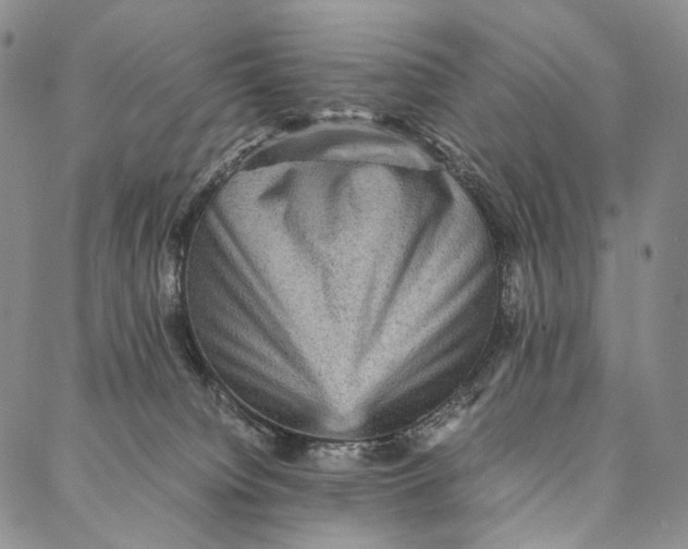 X0000087060084200705091211