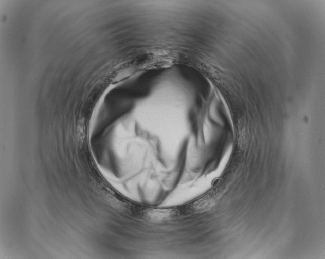 X0000087060085200705091211