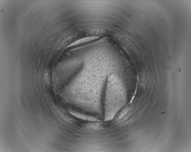 X0000087060086200705091211