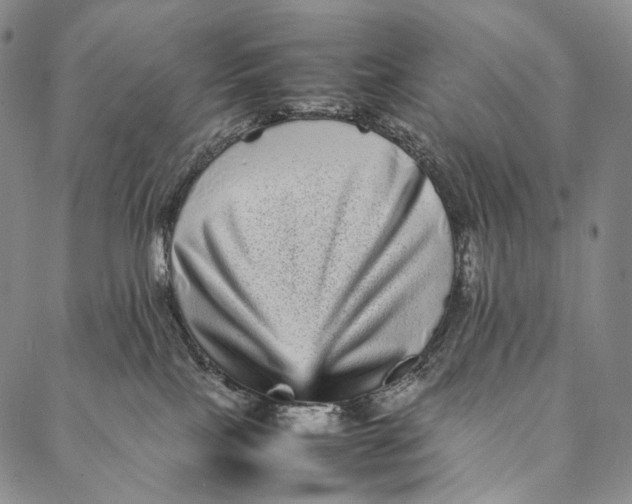 X0000087060089200705091211