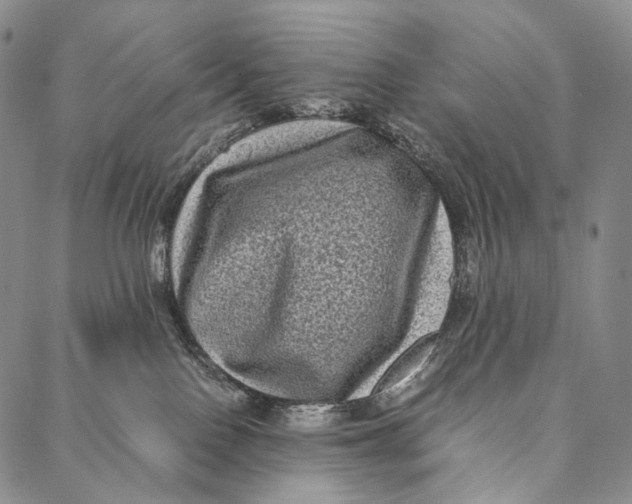 X0000087060090200705091211