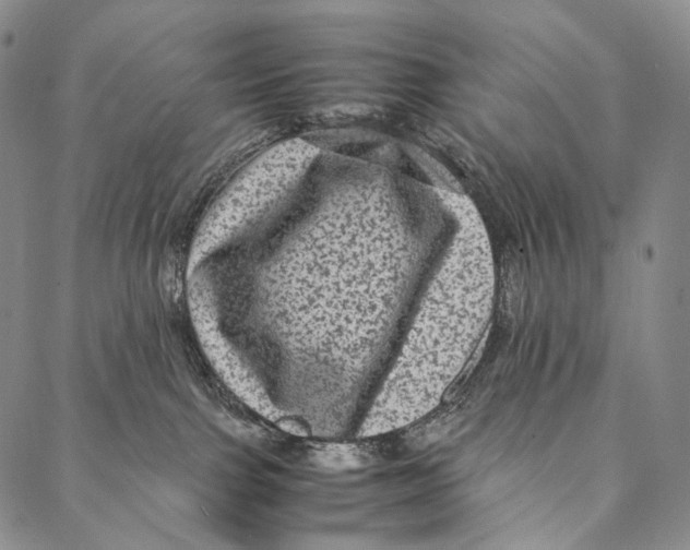 X0000087060091200705091211