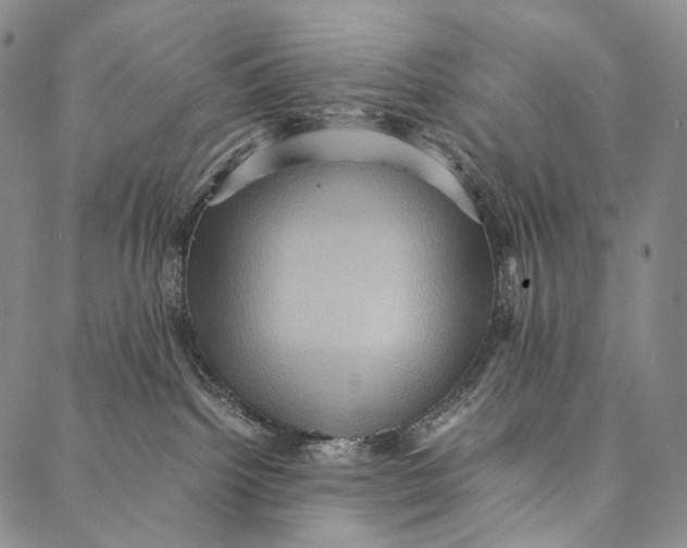 X0000087060092200705091211