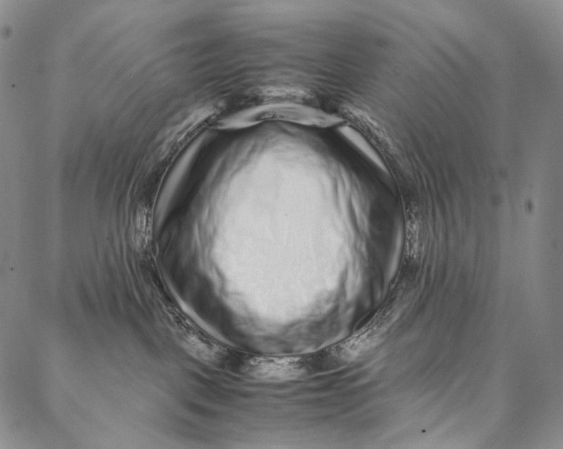 X0000087060093200705091211