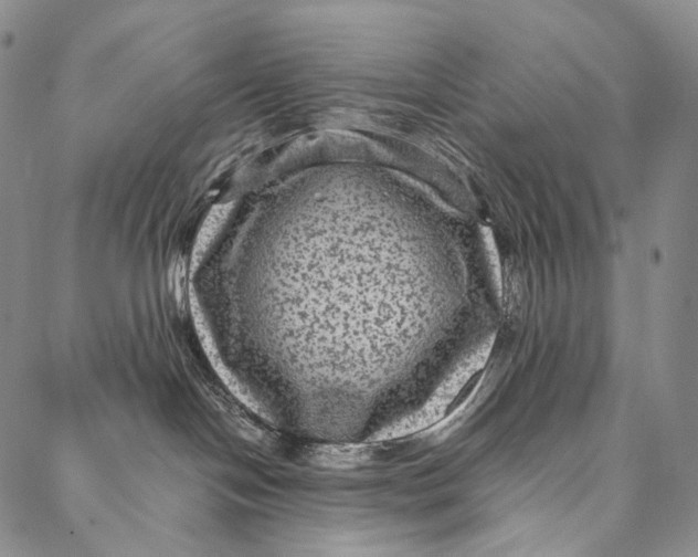 X0000087060094200705091211