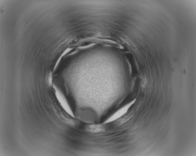 X0000087060095200705091211