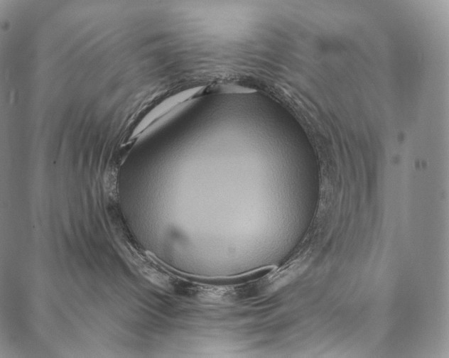 X0000087060096200705091211