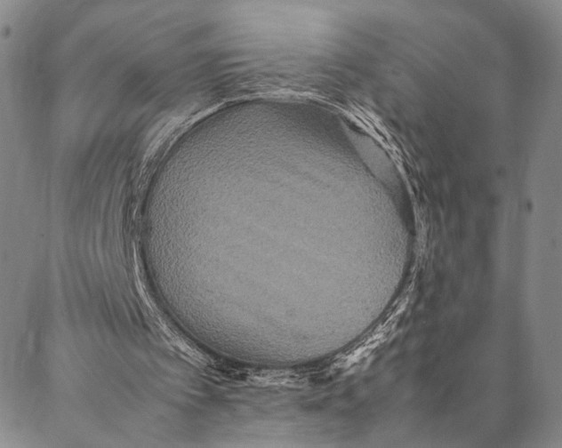 X0000087060097200705091210