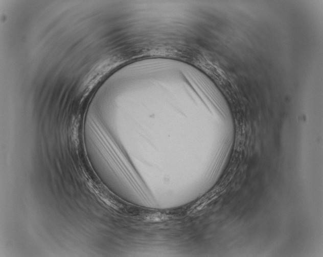 X0000087060098200705091210