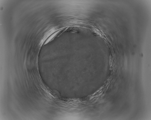 X0000087060099200705091210