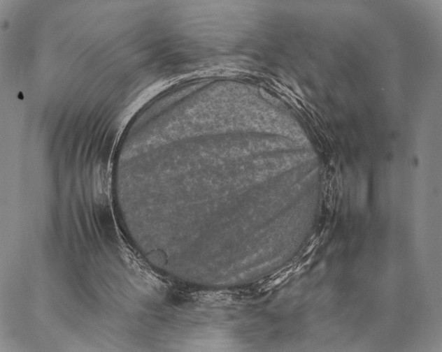 X0000087060100200705091210